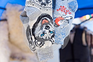 A pair of warm socks with the image of a husky dog. the image is large