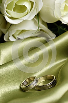 Pair of wedding bands on green satin