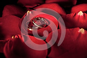 A Pair of Wedding Ring on a Rose Petal