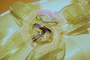 A pair of wedding rings resting on a cushion of gold satin ribbon and bows