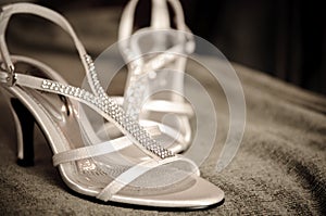 A Pair of Wedding Shoe photo
