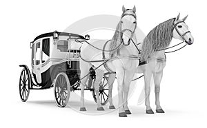 Pair of white horses pulled into a carriage.