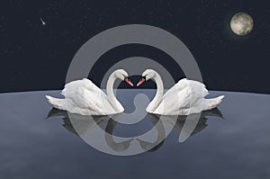 A pair of white swans in cosmic lake.