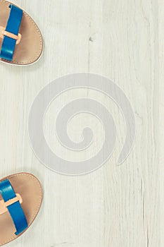 Pair of womanly leather sandals, footwear for holiday concept, copy space for text