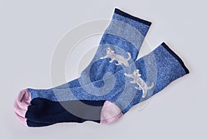 Pair of women`s socks isolated on white background.