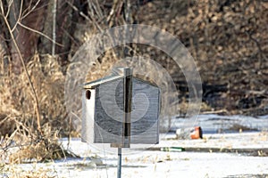 A Pair of Wood Duck Houses