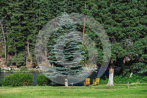 Pair of wooden rocking chairs on a green lawn at the edge of the Gallatin River photo