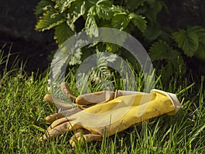 Pair of yellow rubber gloves on a green grass, Garden work concept. Protective equipment to work with plants. Summer time job.