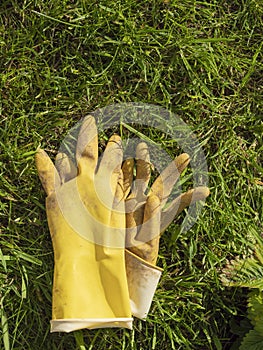 Pair of yellow rubber gloves on a green grass, Garden work concept. Protective equipment to work with plants. Summer time job.