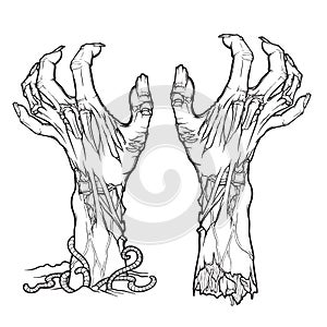 Pair of zombie hands rising from the ground and torn apart.