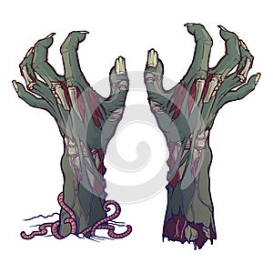 Pair of zombie hands rising from the ground and torn apart. lifelike depiction of the rotting flash with ragged skin