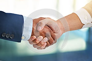 Paired up to produce results. two businessmen shaking hands in a modern office.