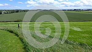 Pairs of tractor tracks in dark green fields in farmer`s fields