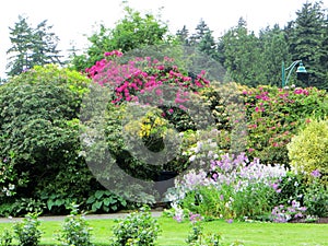 Trees an flowerid bushes in Vancouver photo