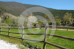 Paisagem da Serra da Estrela