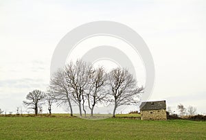 Paisaje cerca de Tarbes, Francia photo