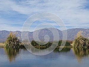 Paisaje con laguna, arbustos y montaÃÂ±a photo