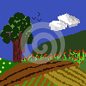 Field grown in pixelated spring photo