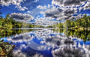 Lake with green tree photo