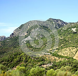 Paisaje de la Sierra de Grazalema, provincia de CÃÂ¡diz AndalucÃÂ­a EspaÃÂ±a