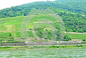 Paisaje de las orillas del rÃ­o Rin en Alemania photo