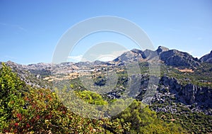 Paisaje del Parque Natural Sierra de Grazalema con el pueblo de Benaocaz al fondo, provincia de CÃ¡diz AndalucÃ­a EspaÃ±a