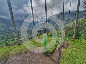 Paisaje del valle de cocora en Salento, eje cafetero. Colombia. photo