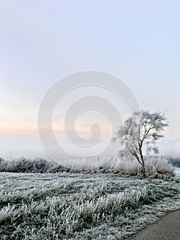 Paisaje helado