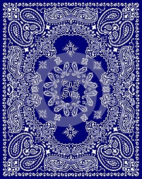 Paisley textile pattern vector illustration