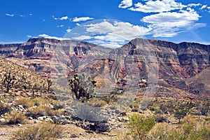Paiute Wilderness on the Virgin River Gorge
