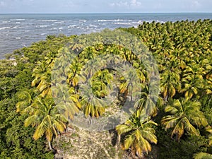 Paiva beach landscape, located in Cabo de Santo Agostinho, Pernambuco, Brazil - 02 17 2022