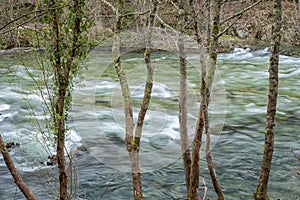 Paiva river photo