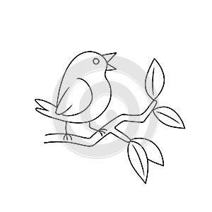 Line drawing of a bird in black and white for coloring vector photo