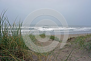 Pajaro Dunes Beach photo