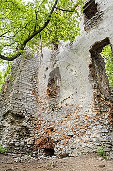 Zrúcanina hradu Pajštún, Slovensko