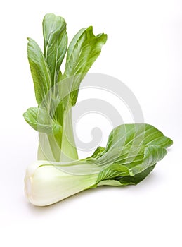 Pak Choi