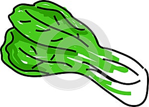 Pak choi