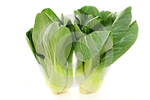 Pak choi photo