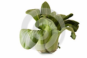 Pak Choi