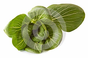 Pak Choi