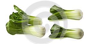 Pak choi cabbage isolated on a white background. Fresh chinese cabbage on white