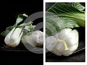 Pak Choi Montage