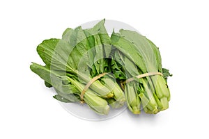 Pak Choi on white background