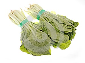 Pakchoi