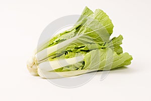 Pakchoi cabbage