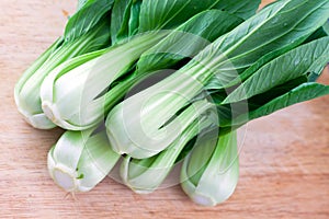 Pakchoi