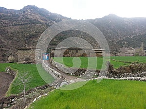 Pakistan Afghanistan Border Kurram District Parachinar Chamkani Makhrani Village