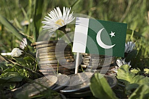 Pakistan flag with stack of money coins with grass