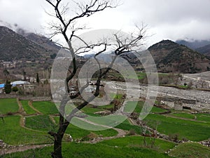 Pakistan Parachinar Chamkani Makhrani Village - 2016