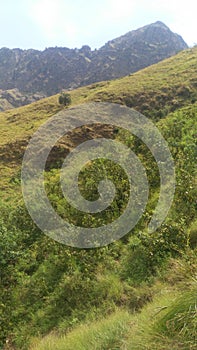 Pakistani village mountain